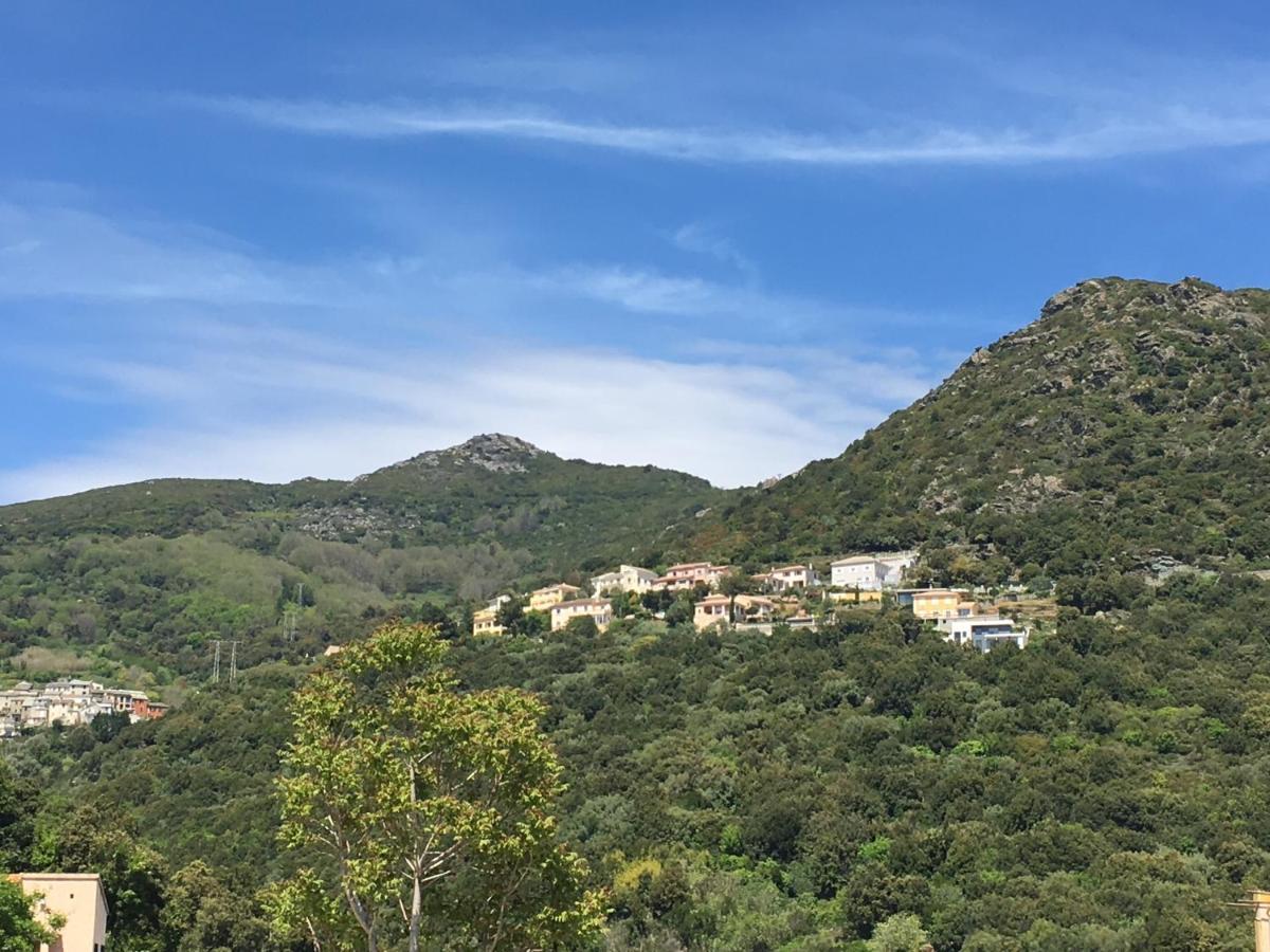 Charmant T2 Hauteurs De Bastia باستيا المظهر الخارجي الصورة